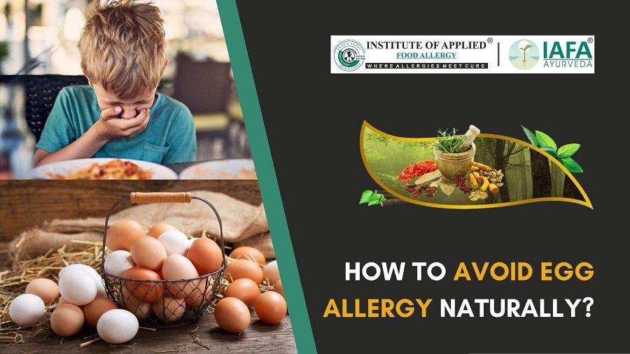 How To Avoid Egg Allergy Naturally 7507