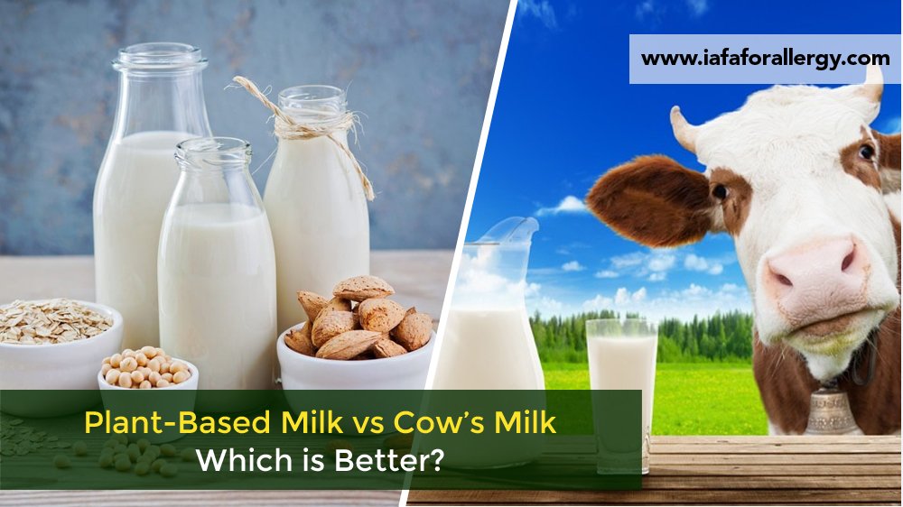Plant-Based Milk vs Cow's Milk: Which is Better?