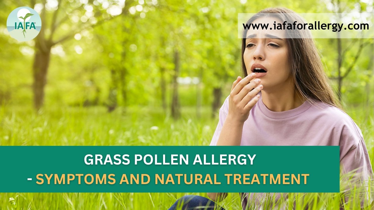 Grass Pollen Allergy Symptoms and Natural Treatment