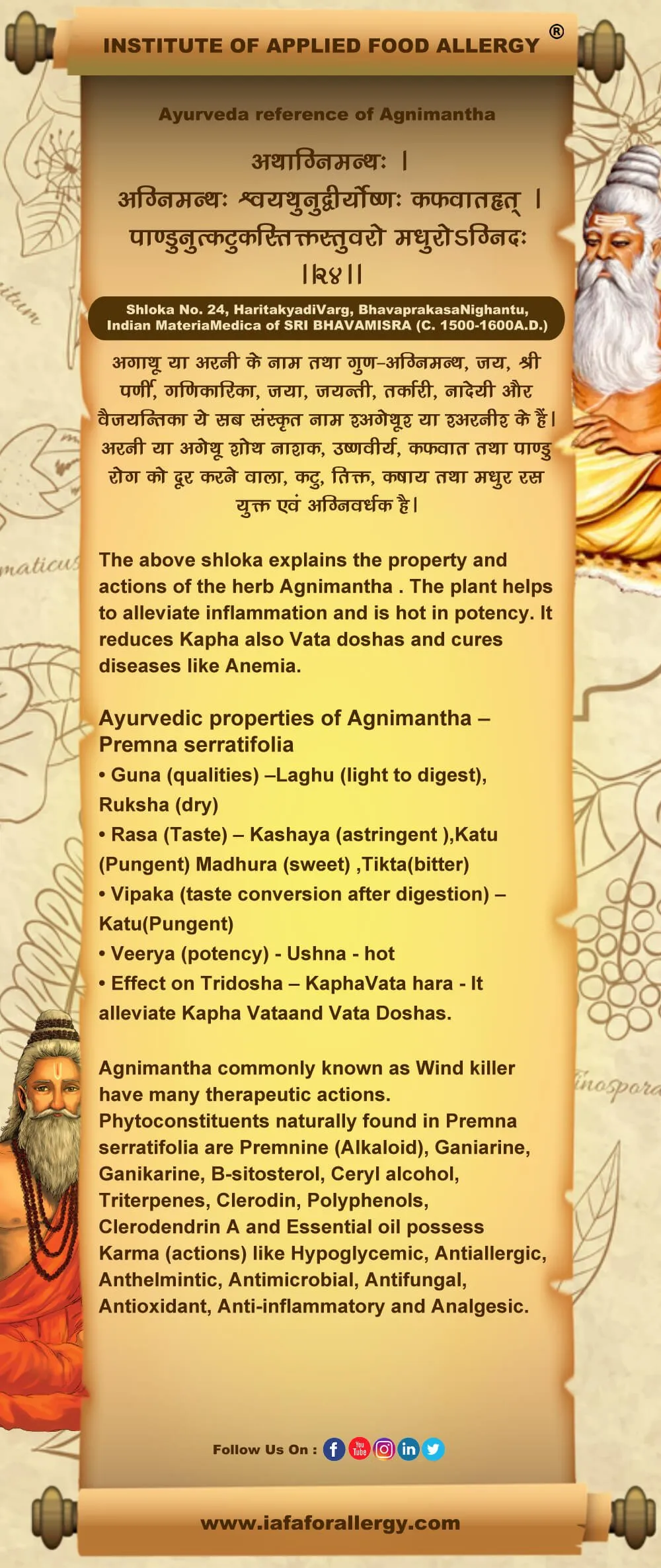 Agnimantha (Premna serratifolia) - Medicinal Properties and Uses