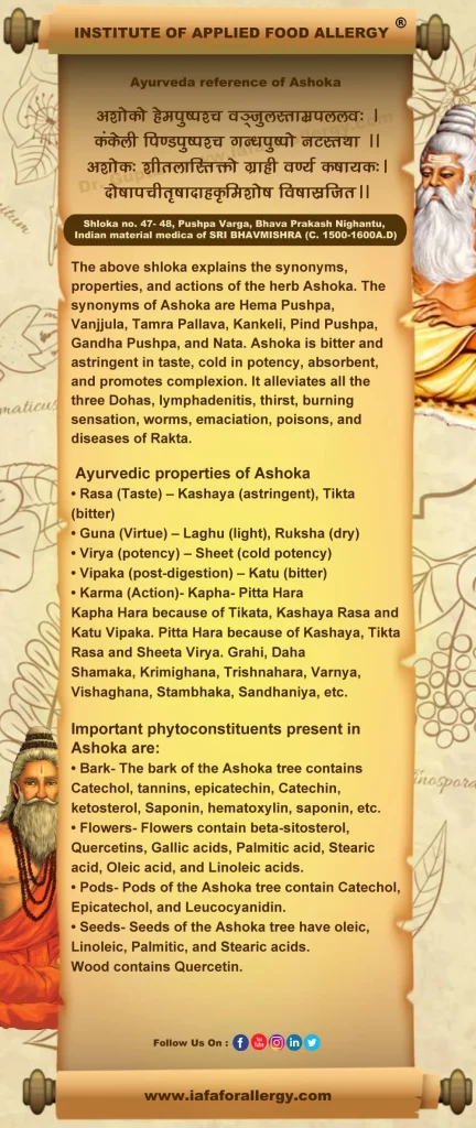 Ashoka (Saraca asoca) - Medicinal Uses, Therapeutic Benefits and More