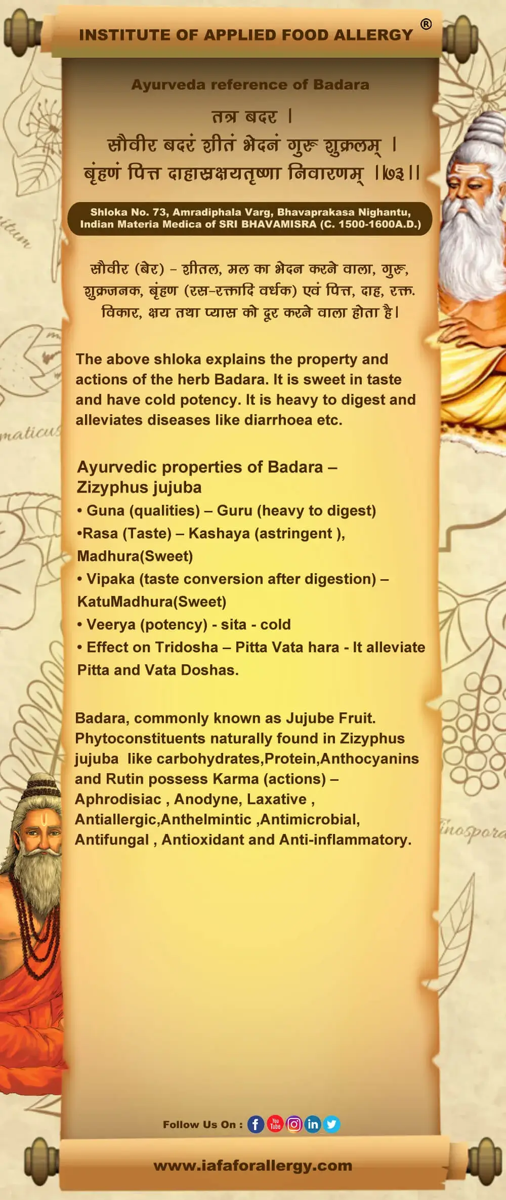 Ayurveda Reference of Badara – Zizyphus jujube