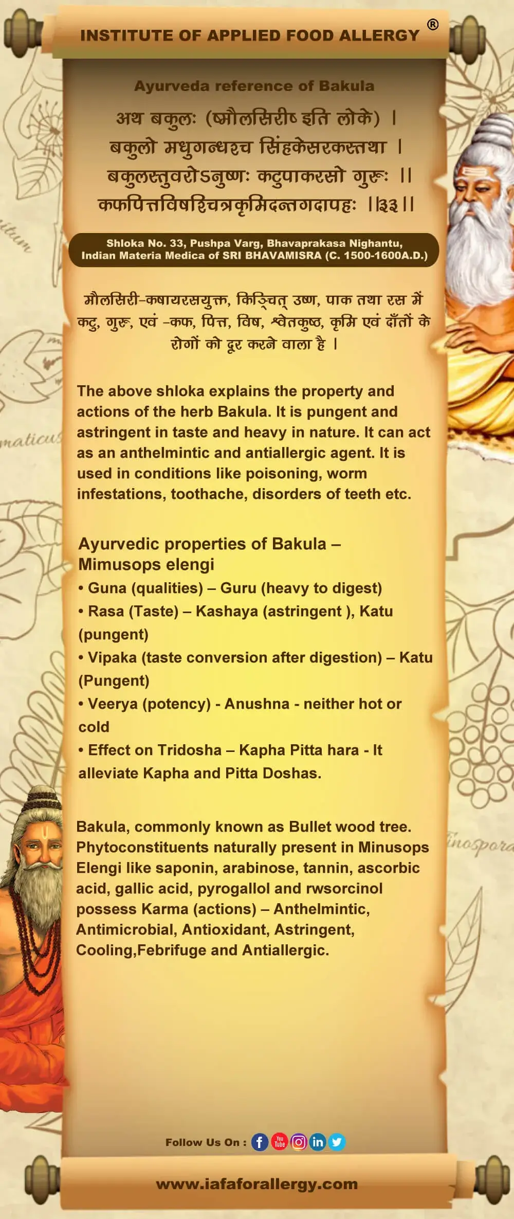 Ayurveda Reference of Bakula – Mimusops elengi