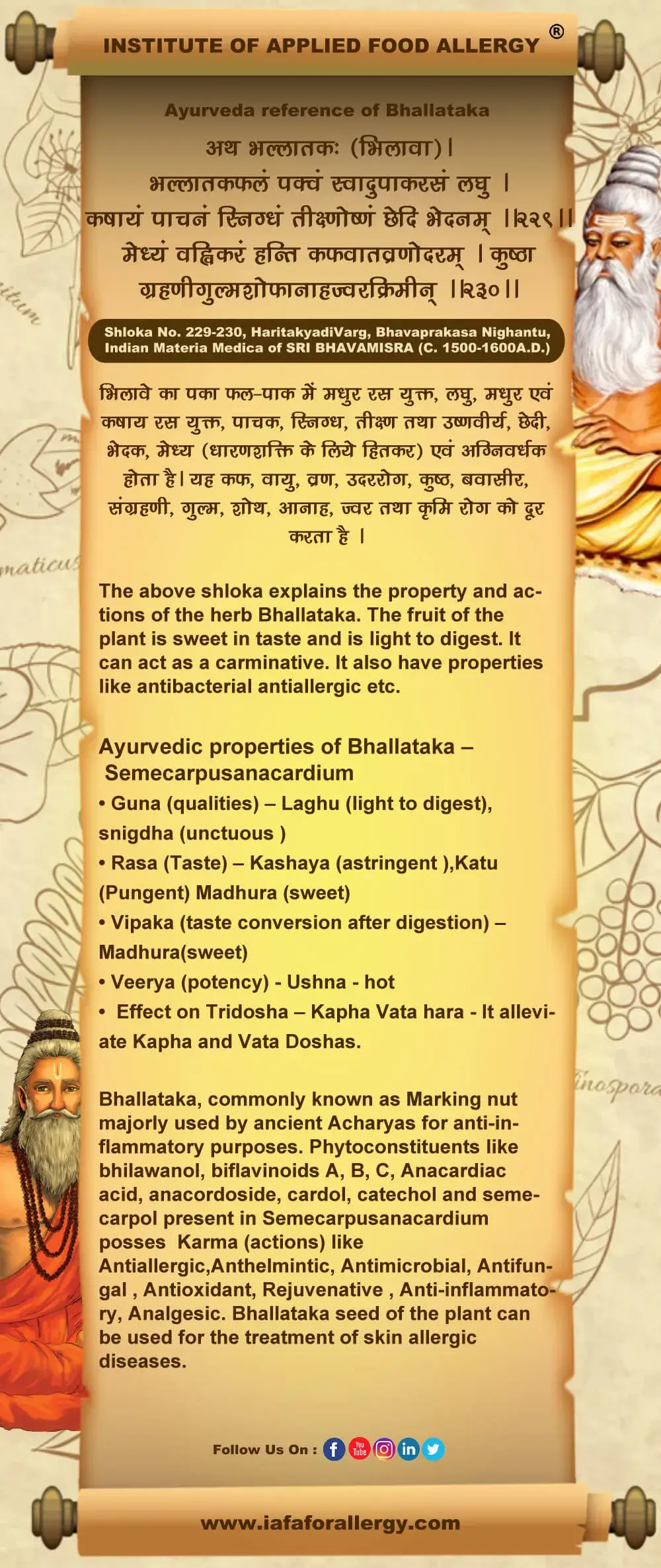 Ayurveda Reference of Bhallataka – Semecarpus anacardium