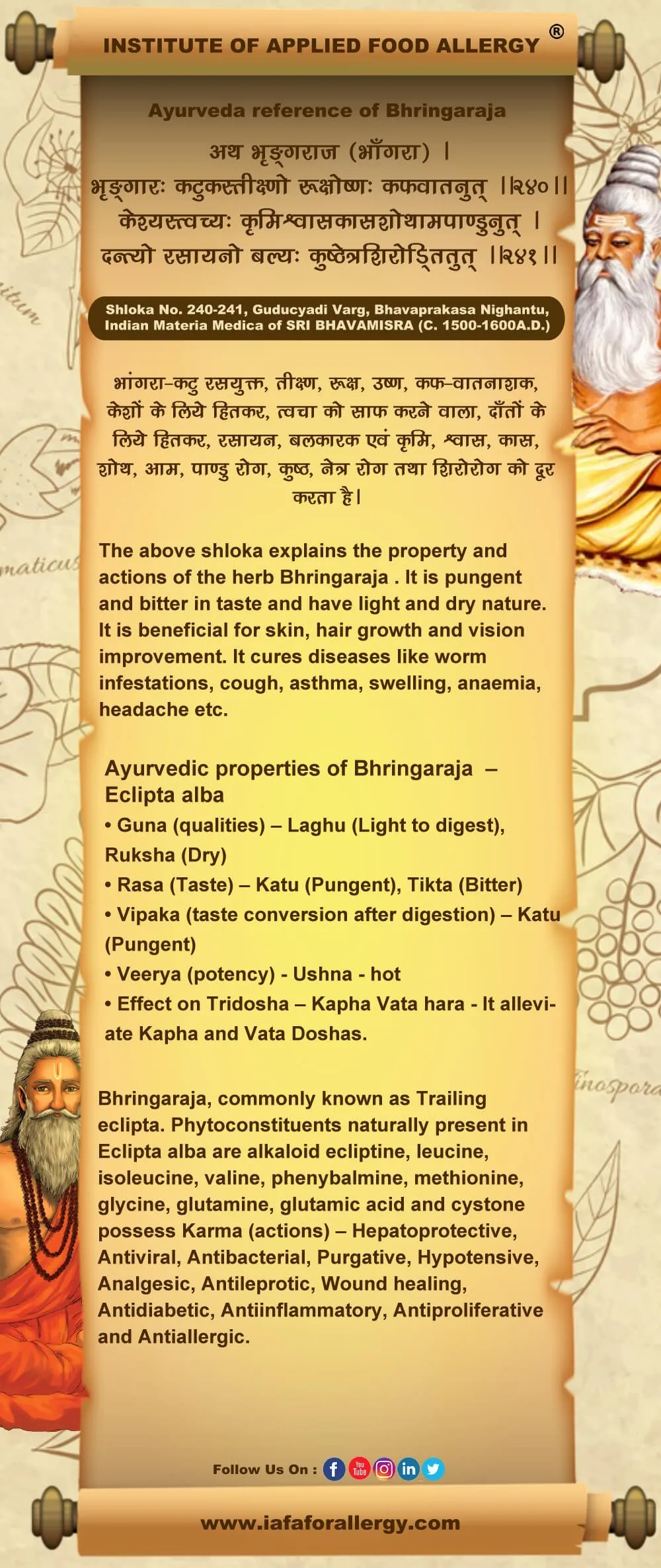 Ayurveda Reference of Bhringaraja – Eclipta alba