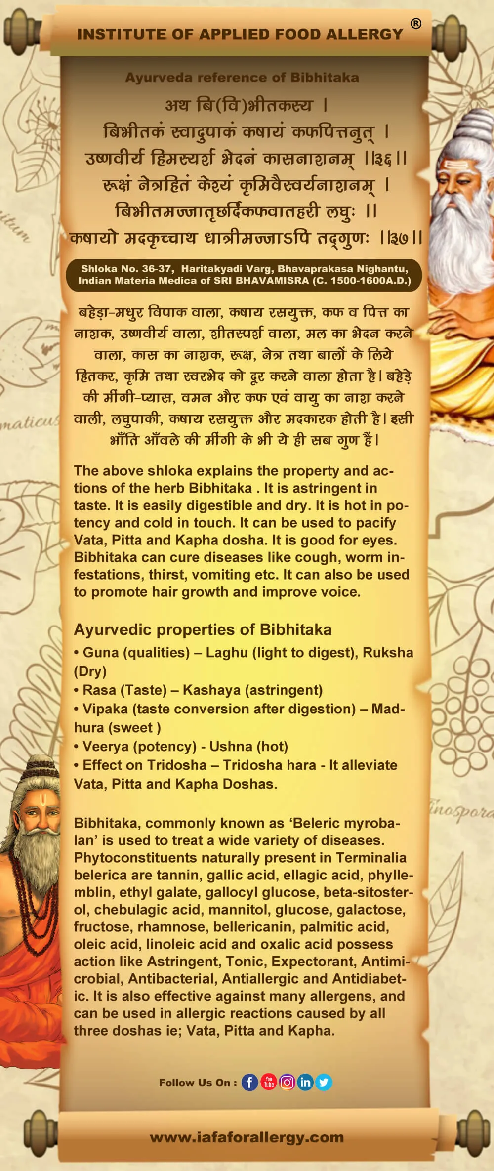 Ayurveda Reference of Bibhitaka - Terminalia belerica