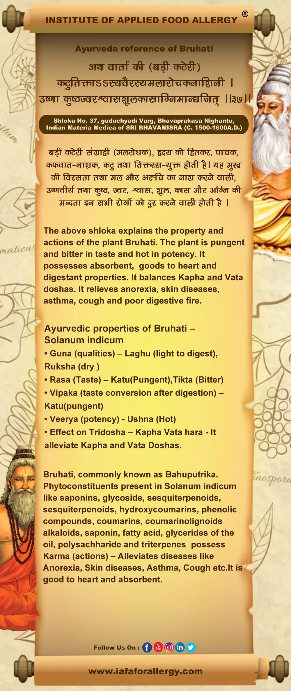 Ayurveda Reference of Brihati (Solanum Indicum)