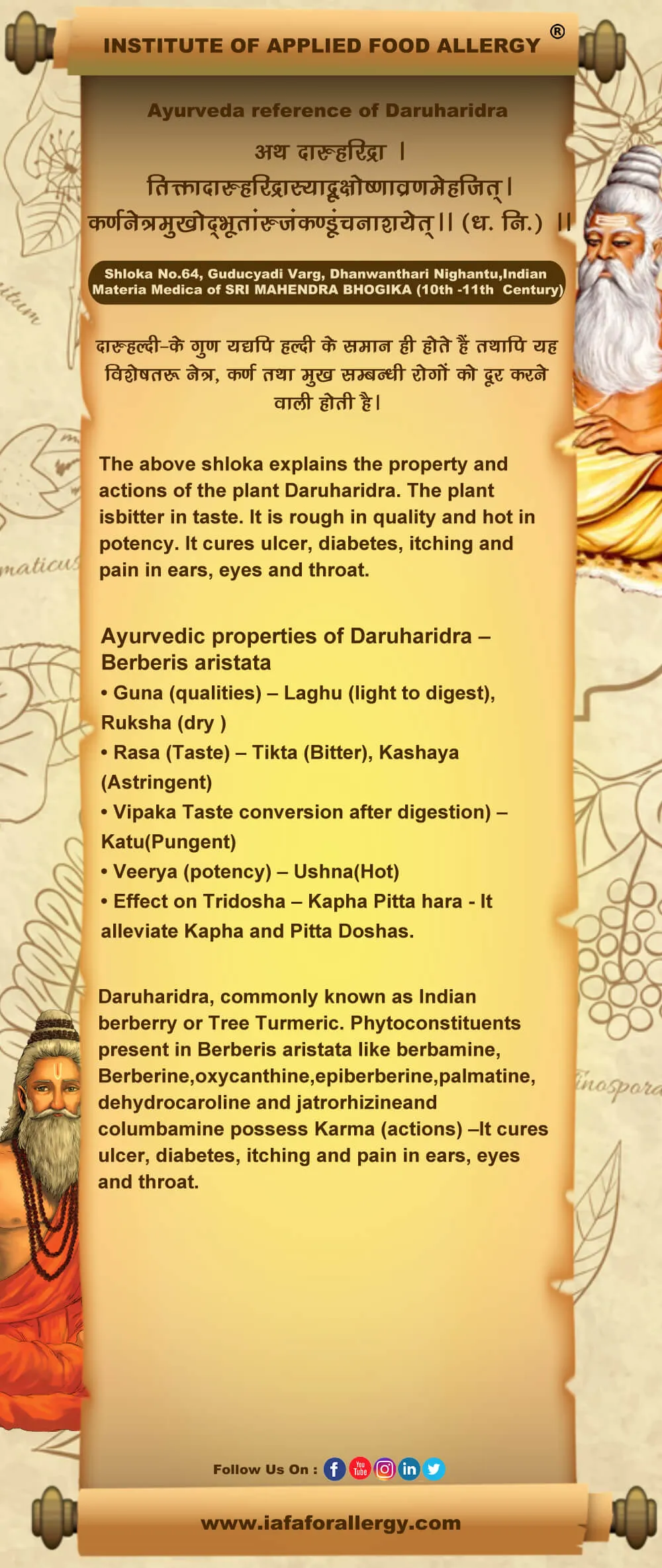 Ayurveda Reference of Daruharidra (Berberis Aristata)
