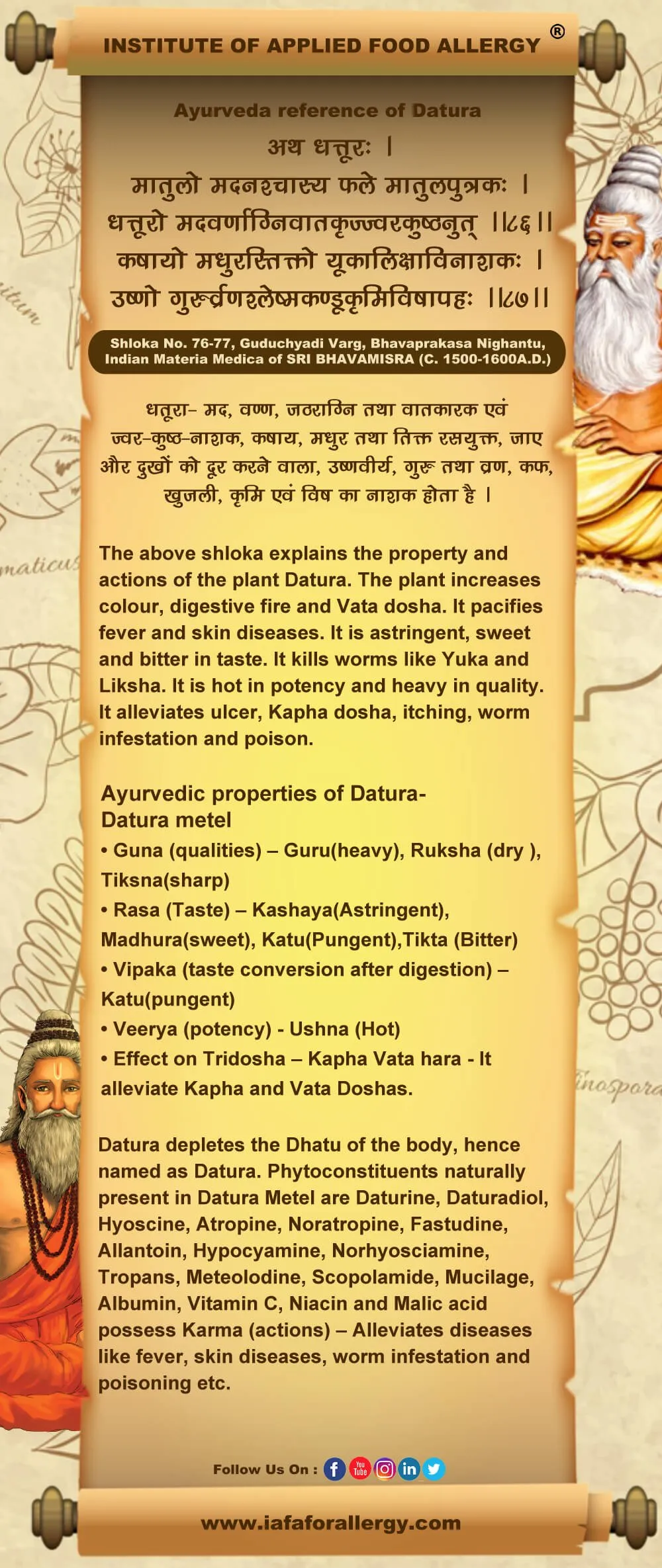 Ayurveda Reference of Datura (Datura metel)