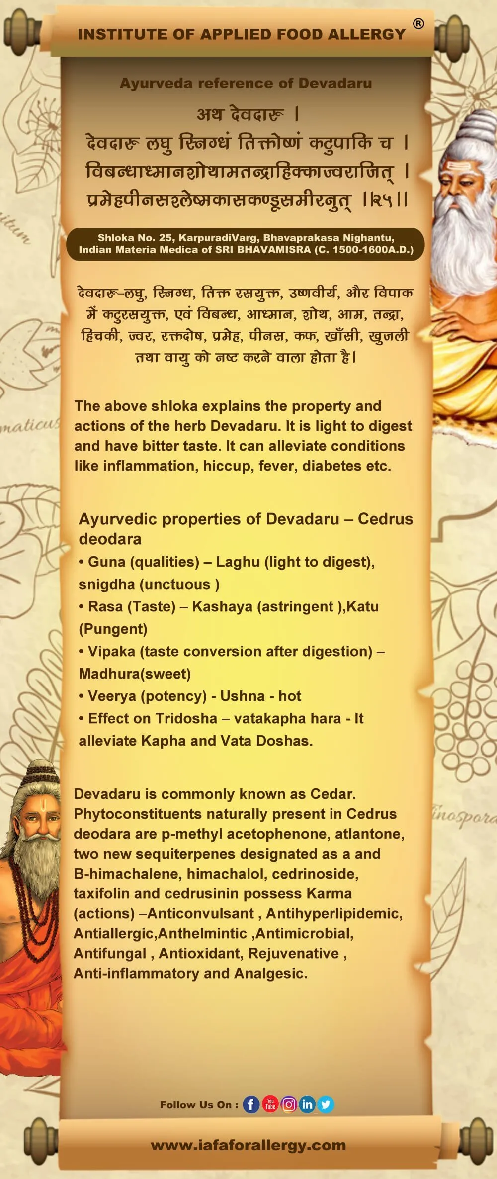 Ayurveda Reference of Devadaru (Cedrus deodara)