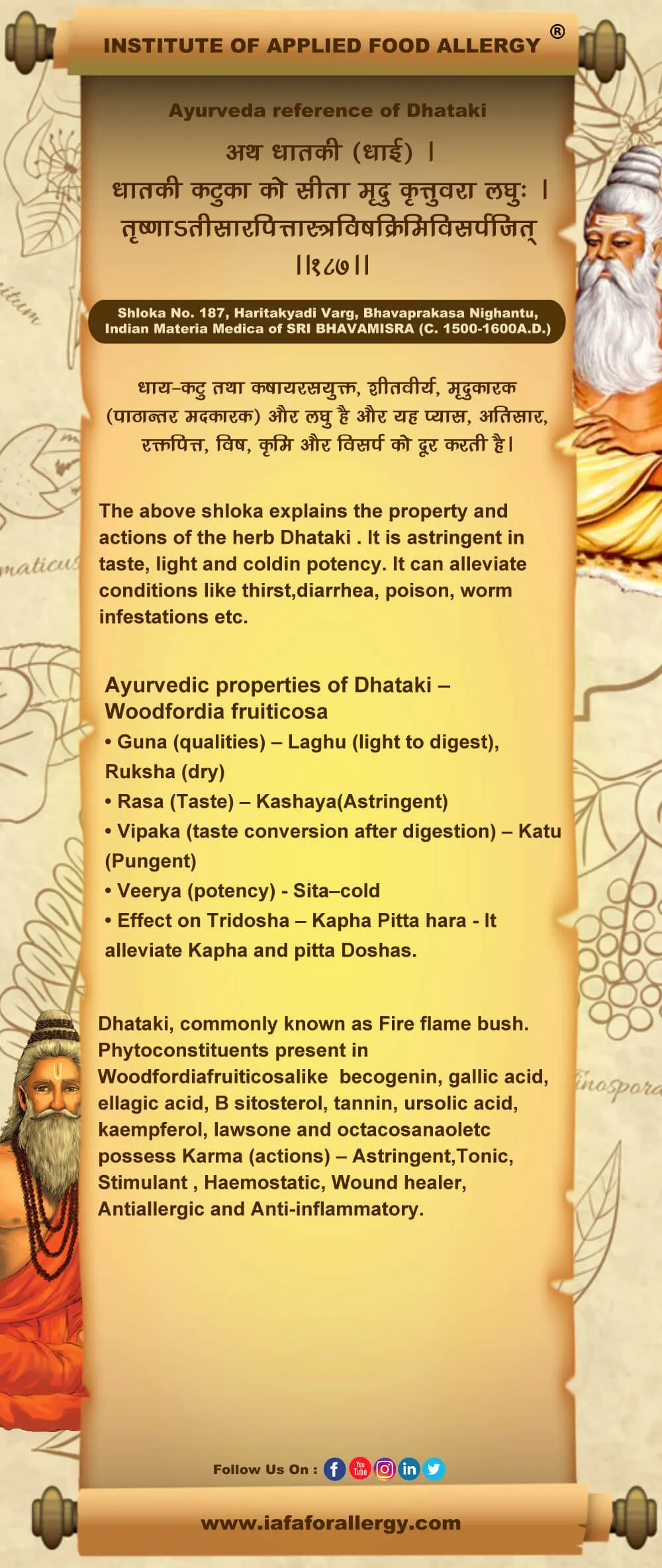 Ayurveda Reference of Dhataki (Woodfordia fruticosa)