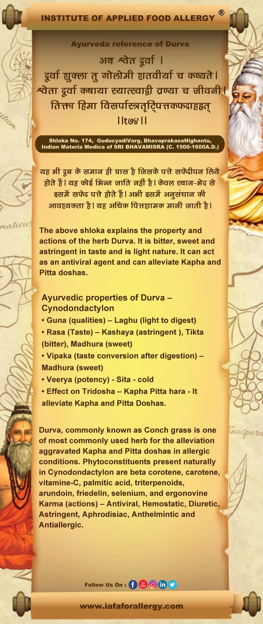 Ayurveda Reference of Durva (Cynodon Dactylon)