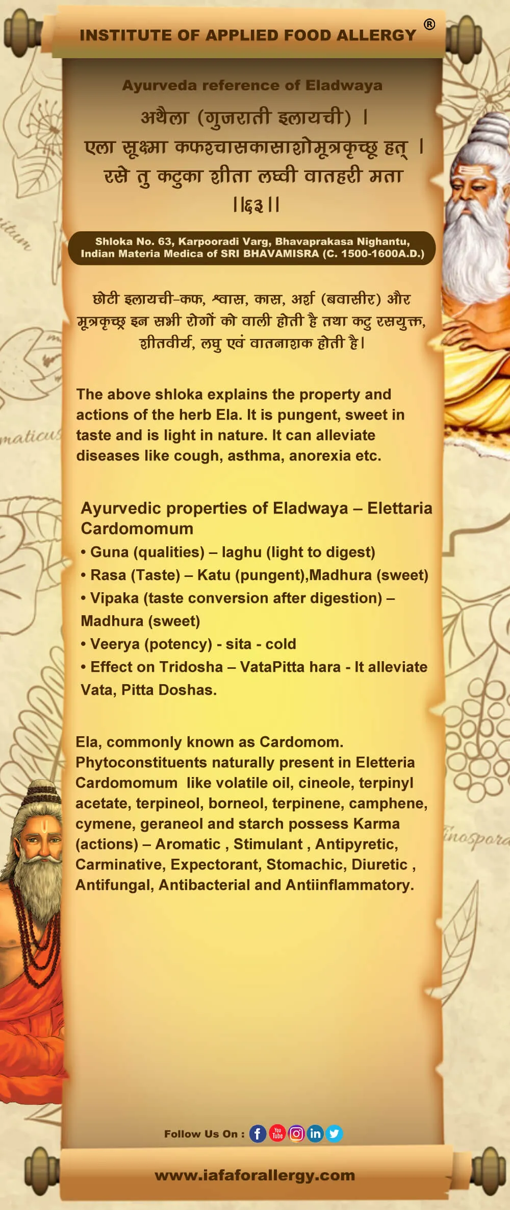 Ayurveda Reference of Ela (Elettaria cardamomum)