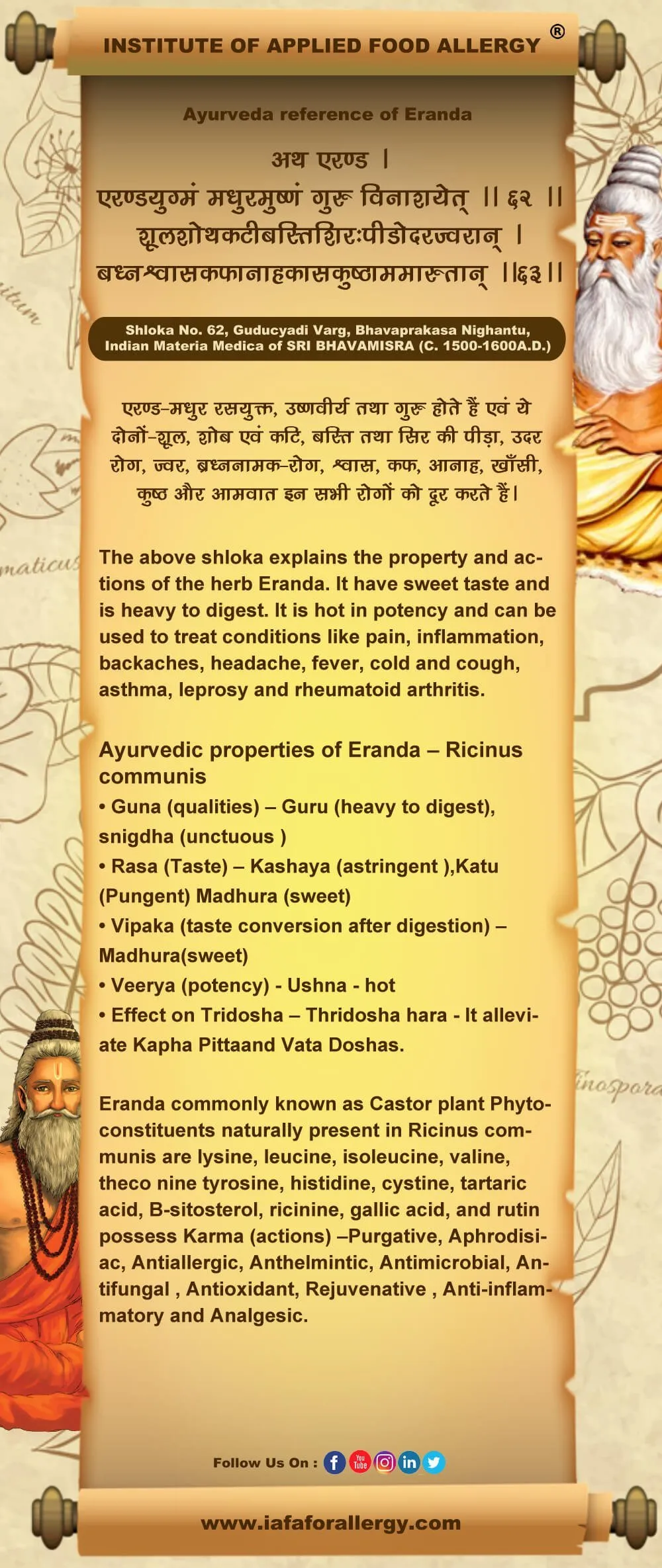 Ayurveda Reference of Eranda (Ricinus communis)