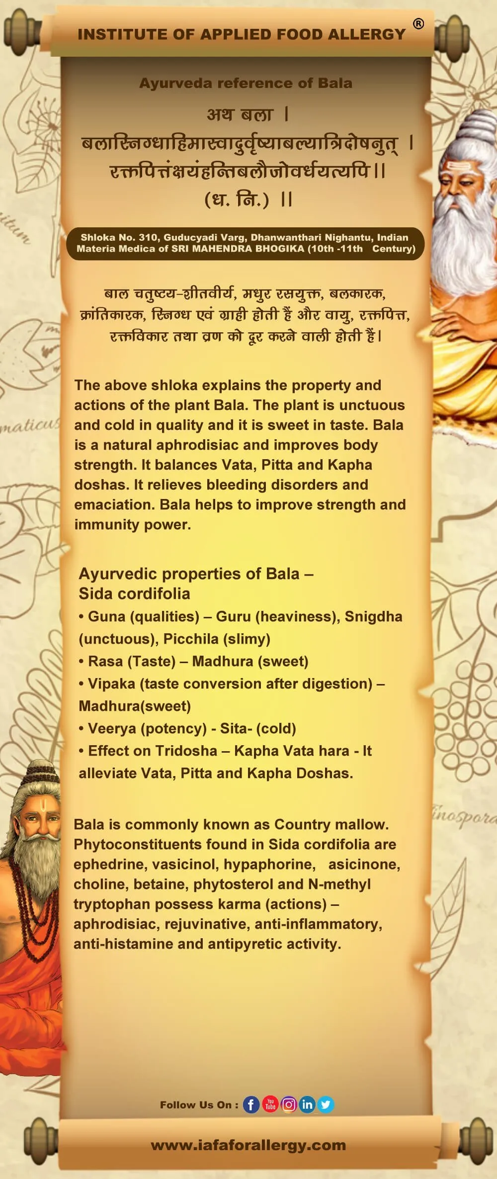 Ayurveda Reference of Bala - Sida cordifolia