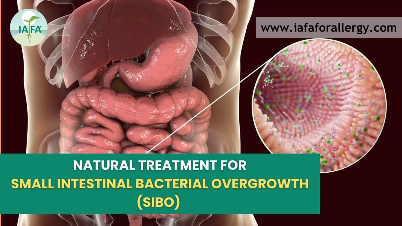 Natural Treatment for Small Intestinal Bacterial Overgrowth (SIBO) 