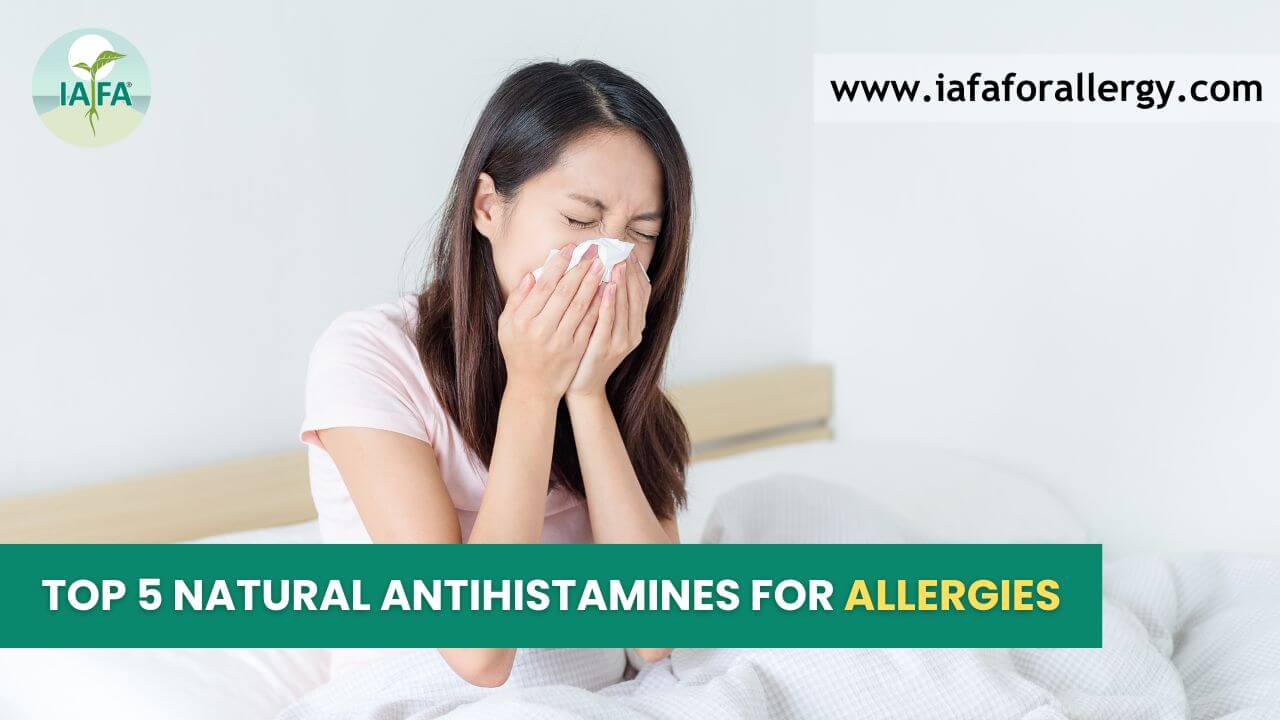 Top 5 Natural Antihistamines for Allergies