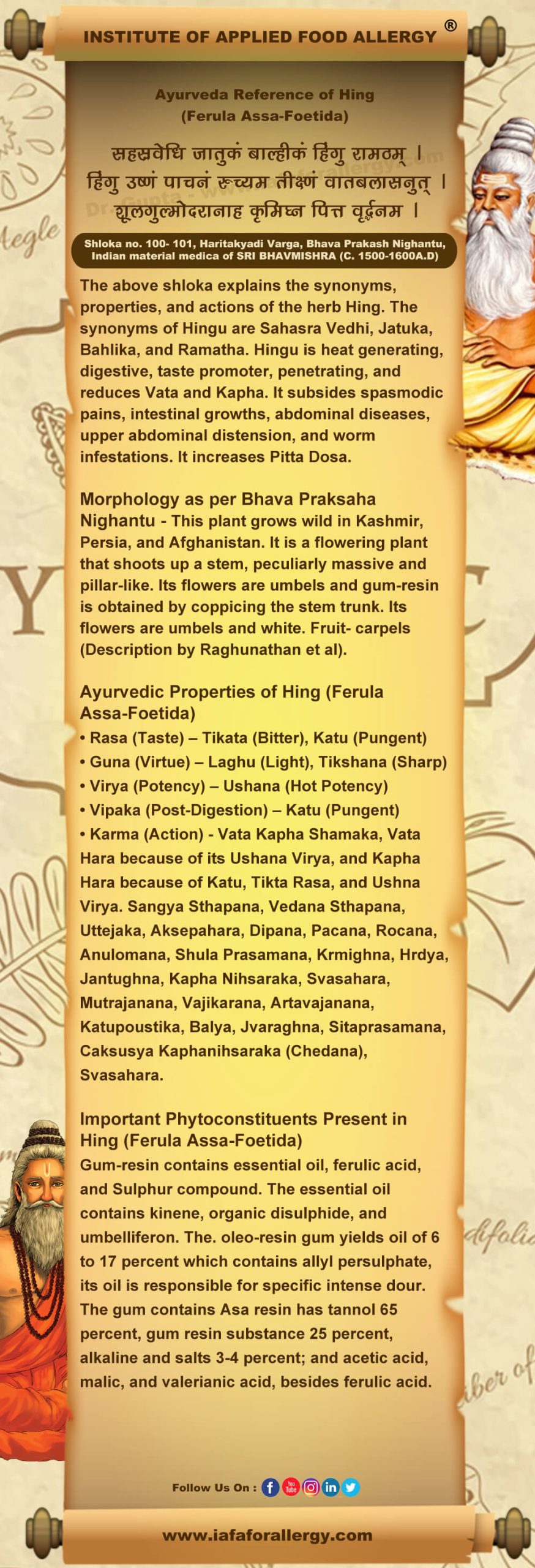 Ayurveda Reference for Hing (Ferula Assa-Foetida)