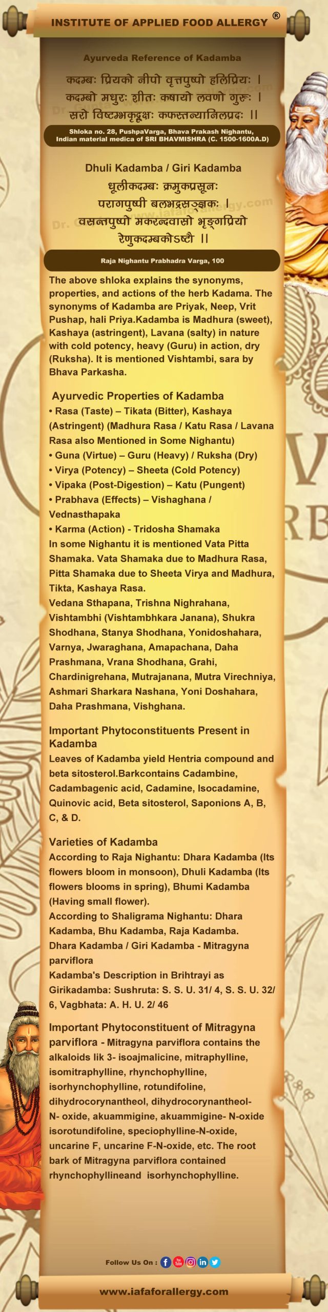 Ayurveda Reference for Kadamba (Anthocephalus cadamba Roxb.)