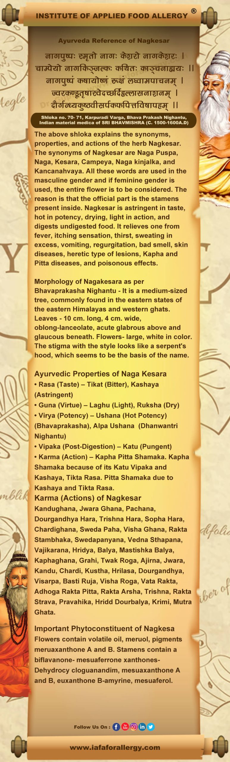 Ayurveda Reference for Nagkesar (Mesua Ferrea)