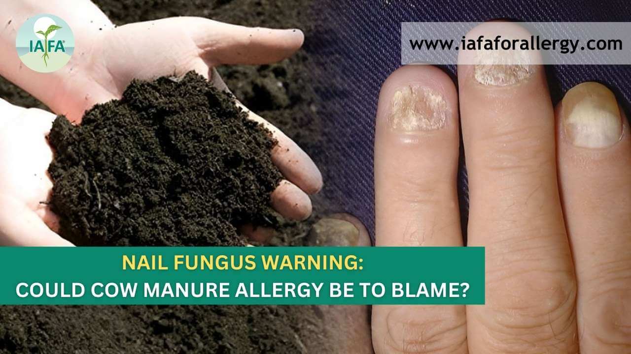 Nail Fungus Warning: Could Cow Manure Allergy Be to Blame?