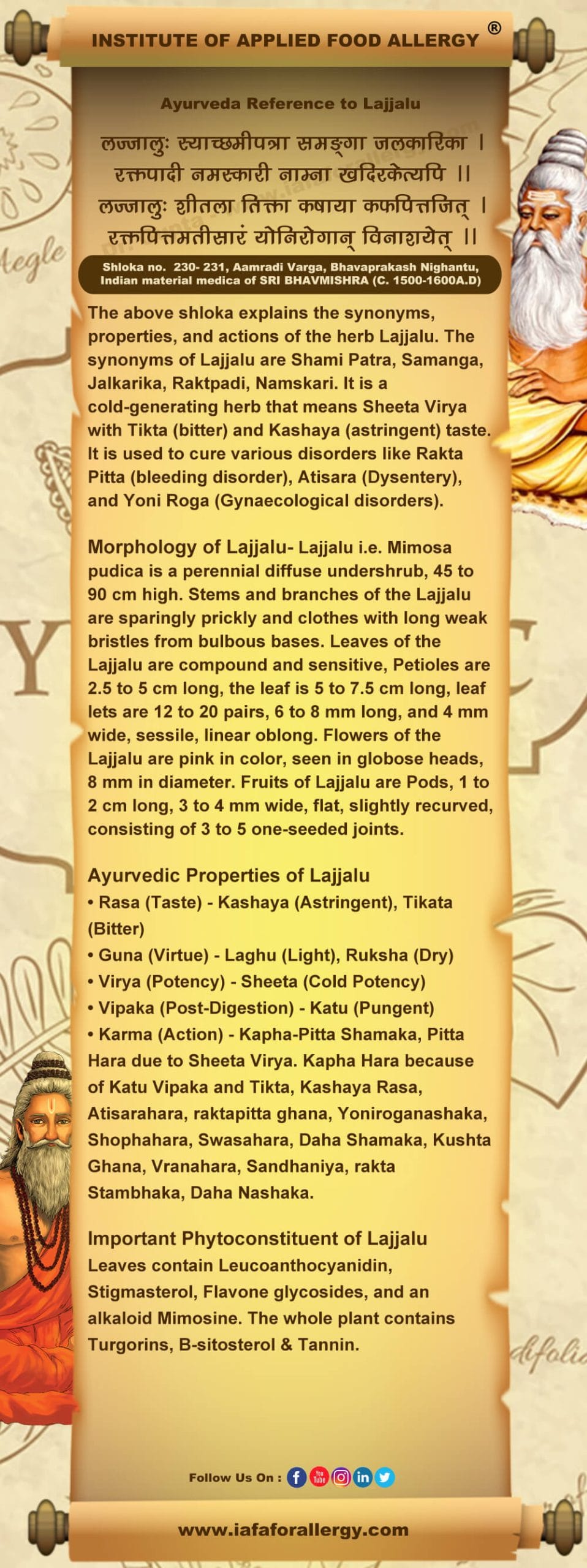 Ayurveda Reference for Lajjalu