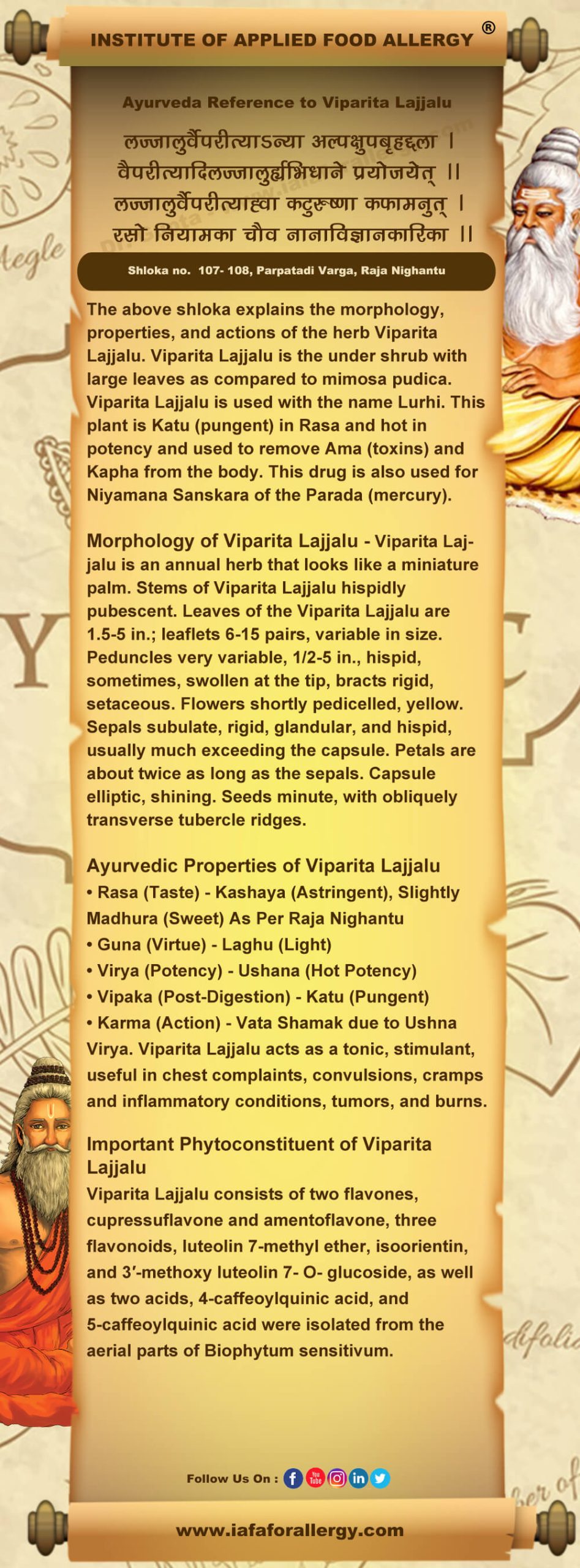 Ayurveda Reference for Viparita Lajjalu (Biophytum sensitivum Linn.)